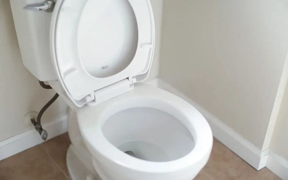 How to Replace a Toilet Seat?