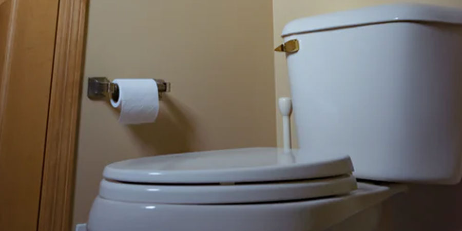 How to Replace a Toilet Seat